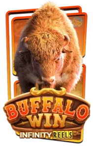 Buffalo win x